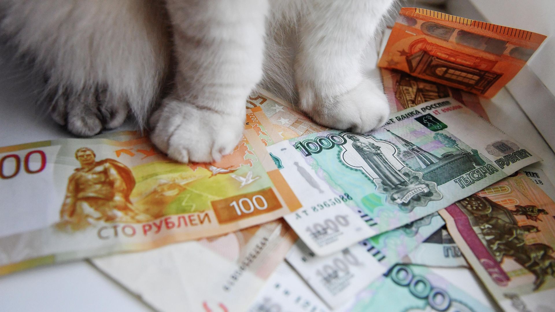 Спрос на виниловые пластинки в России вырос на 10% за год