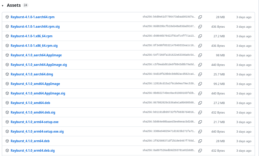 Rayburst 4.1.0: открытый менеджер загрузок на базе Aria2 Next