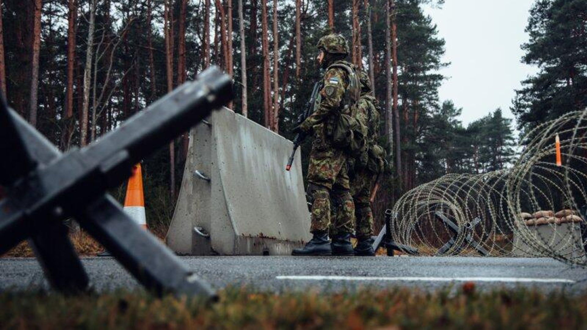 Парламент Эстонии одобрил в первом чтении отправку военных на международные операции без отдельного согласования
