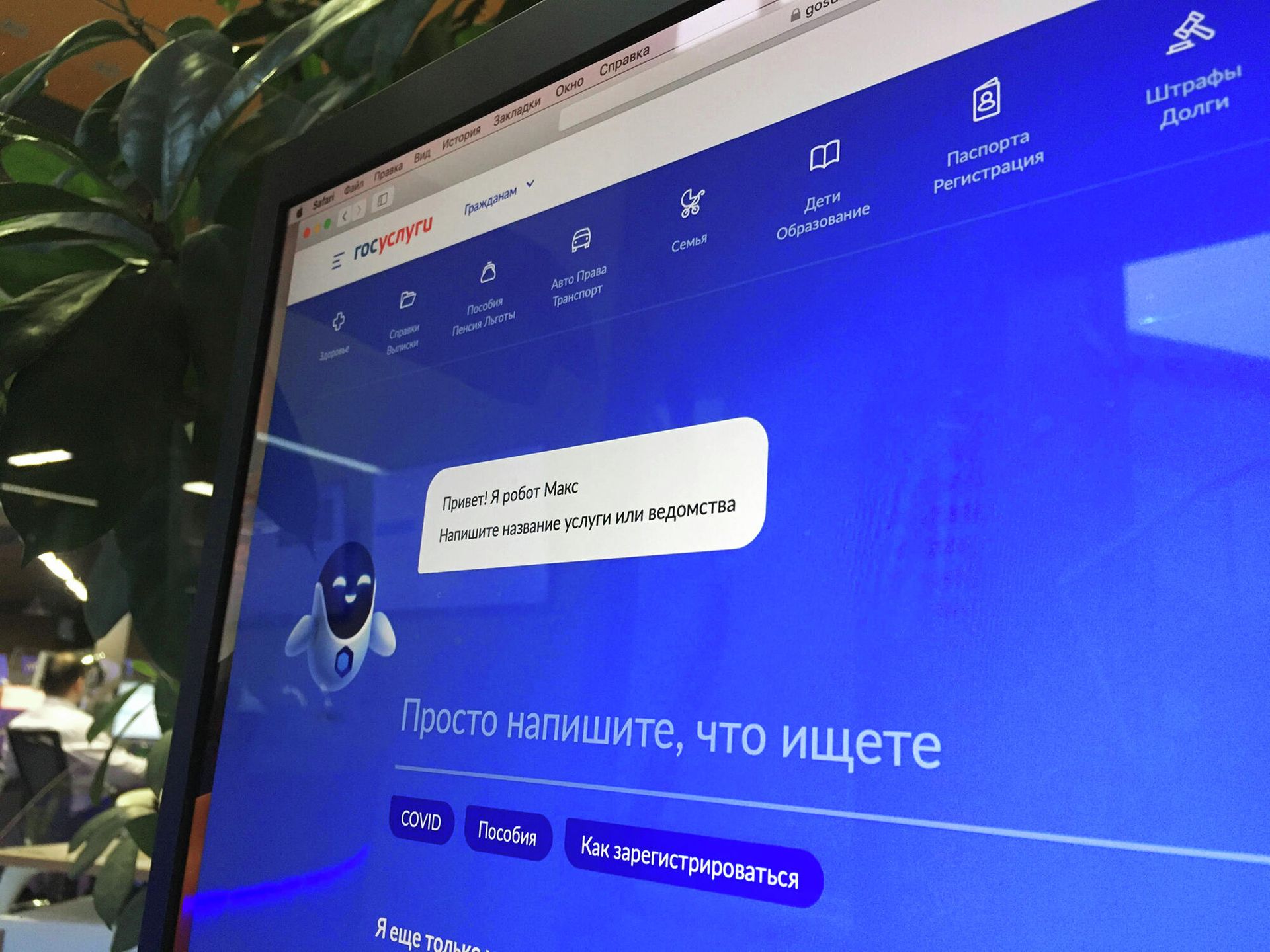 МВД предупредило о рисках при взломе аккаунта на «Госуслугах»