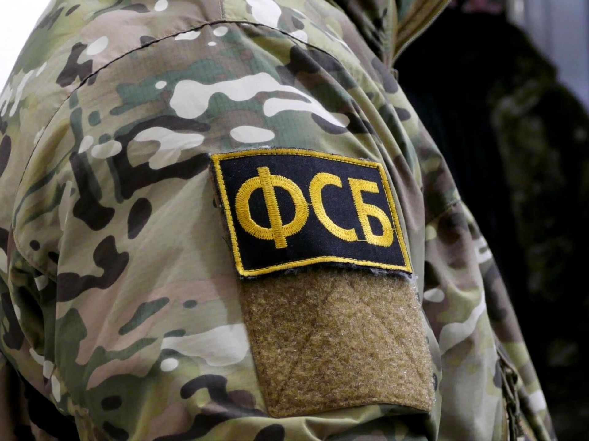 ФСБ сообщила о задержании десяти пользователей «Дайвинчика»