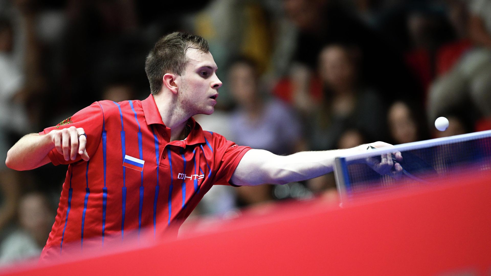 Элизабет Абраамян впервые принесла России золото чемпионата Европы в одиночном разряде