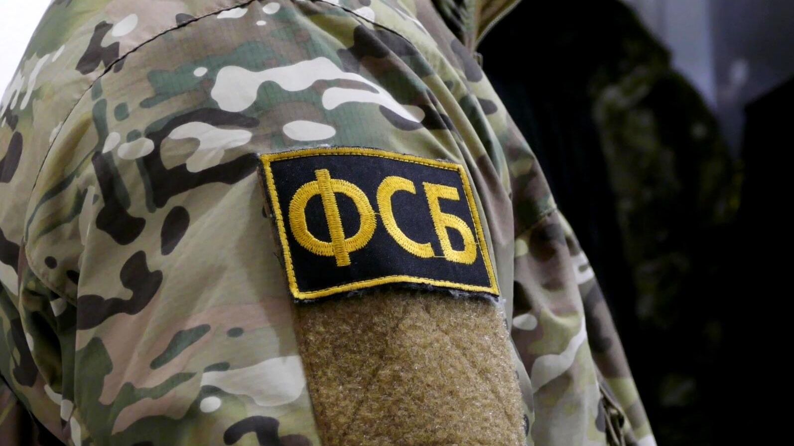 В Челябинской области возбудили дело о преступном сообществе с двумя подразделениями