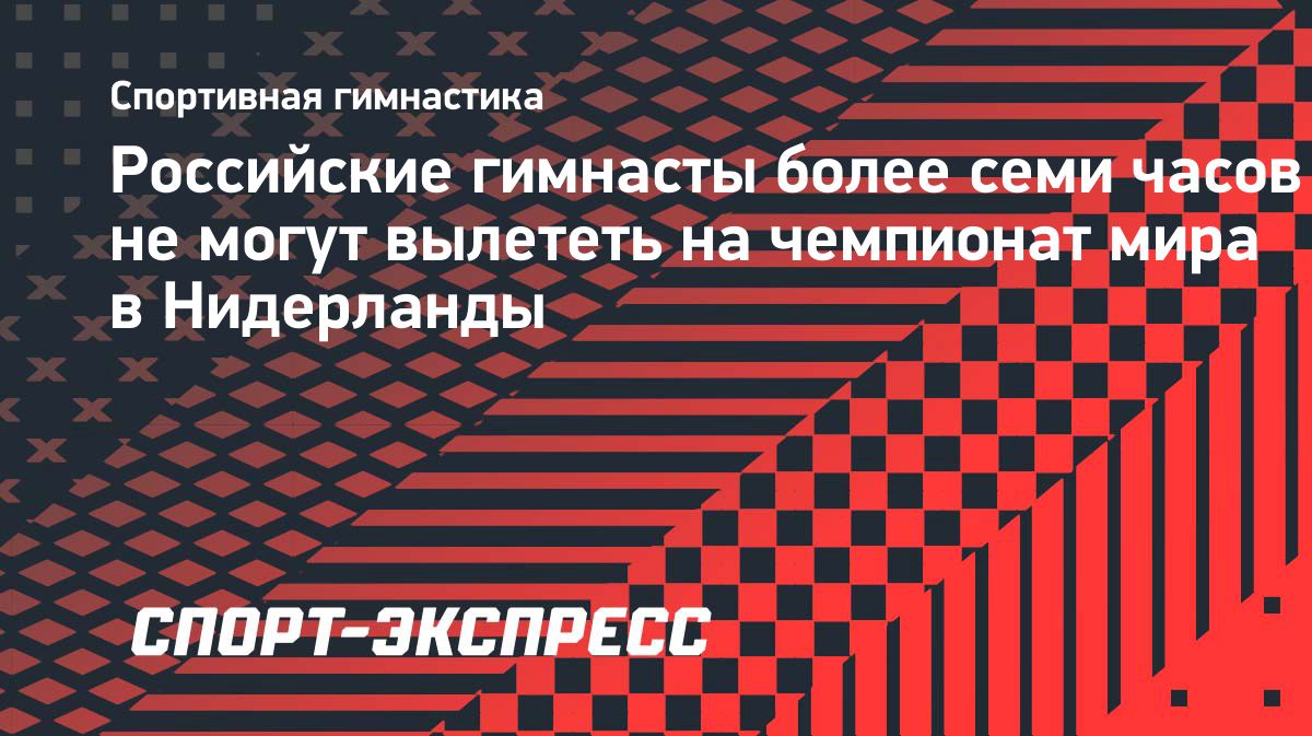 Сборная России по спортивной гимнастике задержалась во Внуково на семь часов