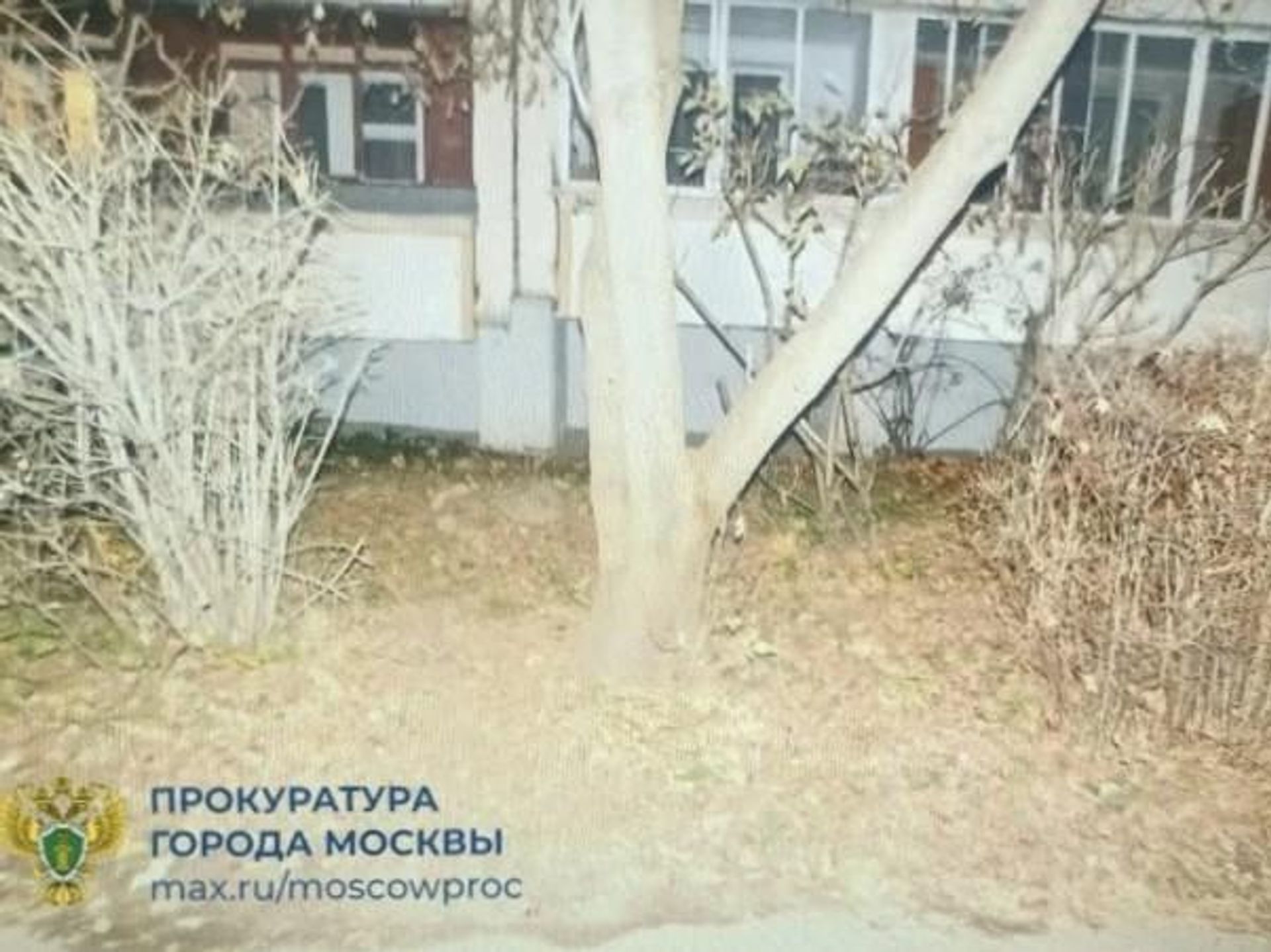 В Зеленограде задержали мать младенца, найденного у многоэтажки