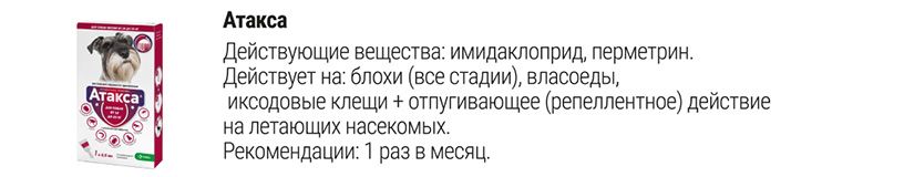 Атакса для собак