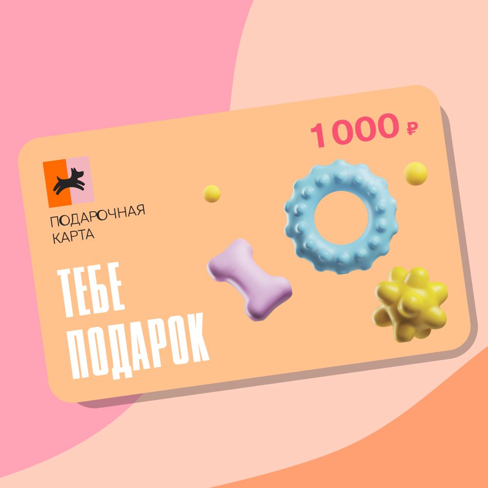 Что подарить питомцу на Новый год