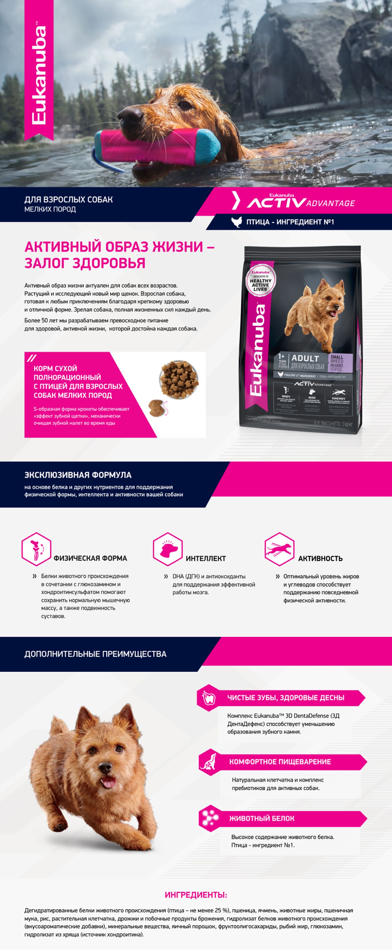 Purina_One_MediMaxi_Adult_01.jpg