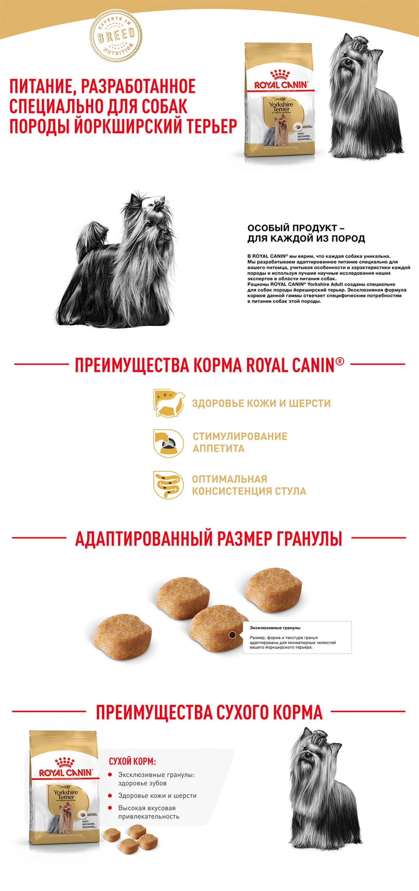 1001910_98d9fc4fbf.jpg