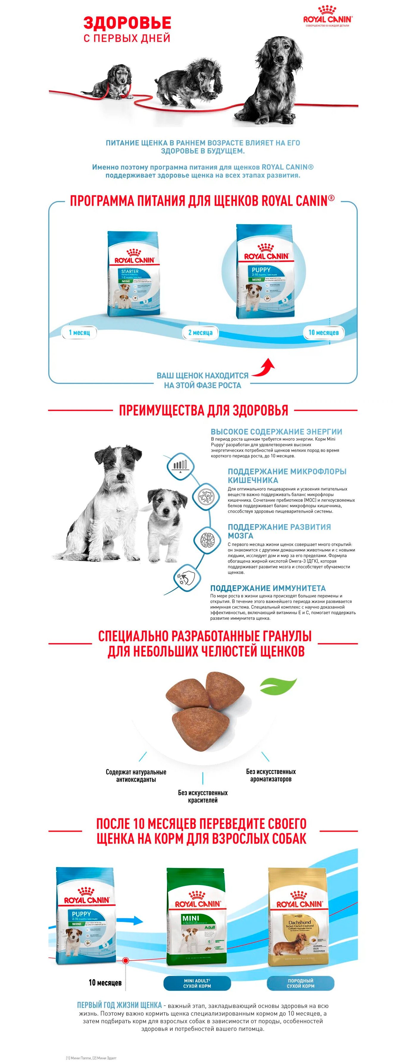 Royal Canin Mini Puppy Сухой корм для щенков мелких пород в возрасте от 2  до 10 месяцев, 800 гр. Птица 800 г, цены, купить в интернет-магазине Четыре  Лапы с доставкой