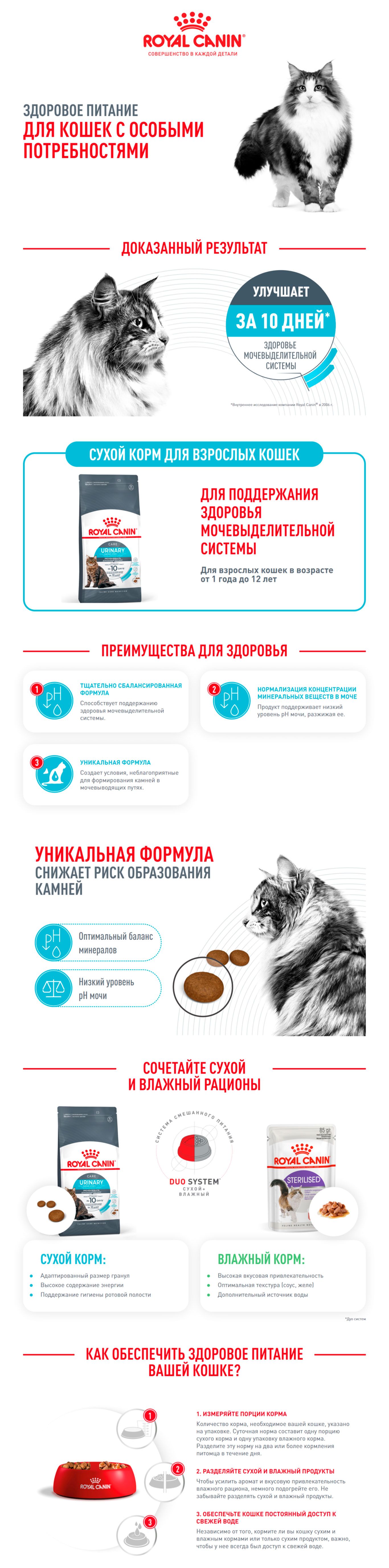 1000714_86d5cba4d9.jpg