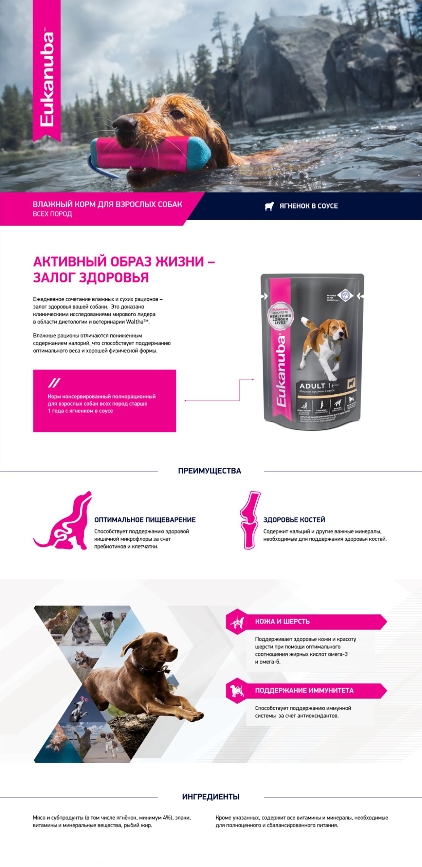 Purina_One_MediMaxi_Adult_01.jpg