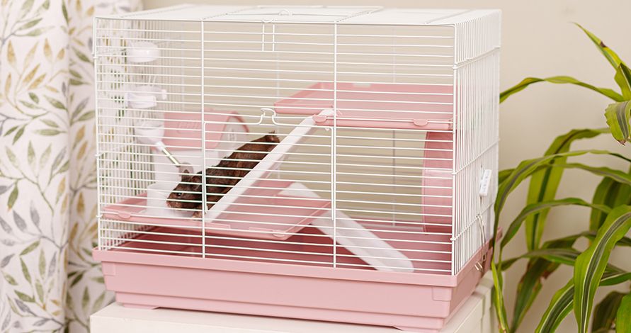 1051361 (9)_891[470.jpg