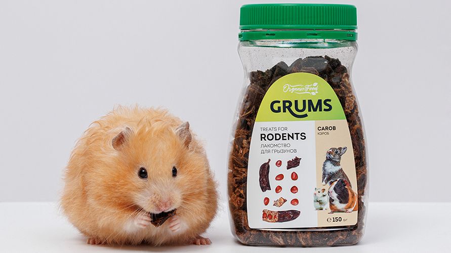 1056499_01 копия_891х500.jpg