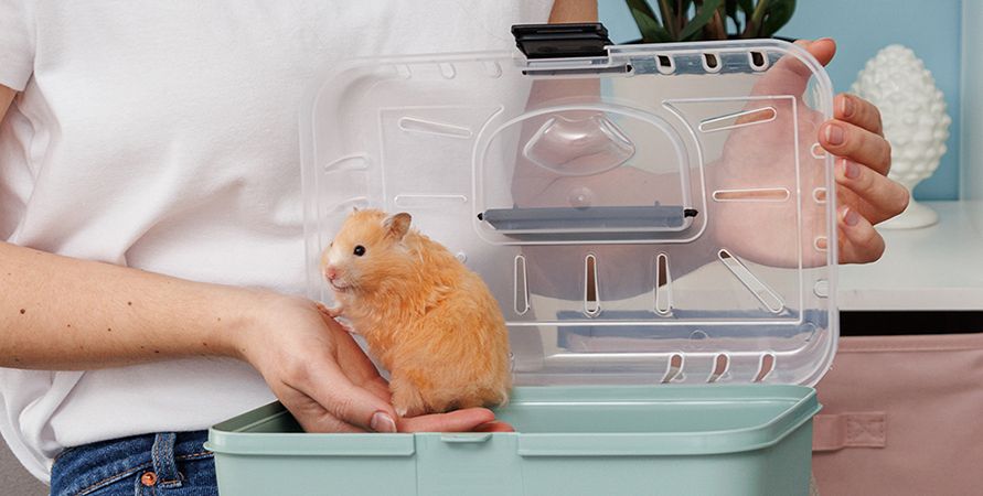 1057366_2 копия_891х450.jpg