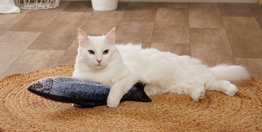 Как выбрать игрушки для кошек