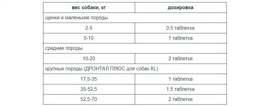 Антигельминтики: выбираем средство защиты от эндопаразитов