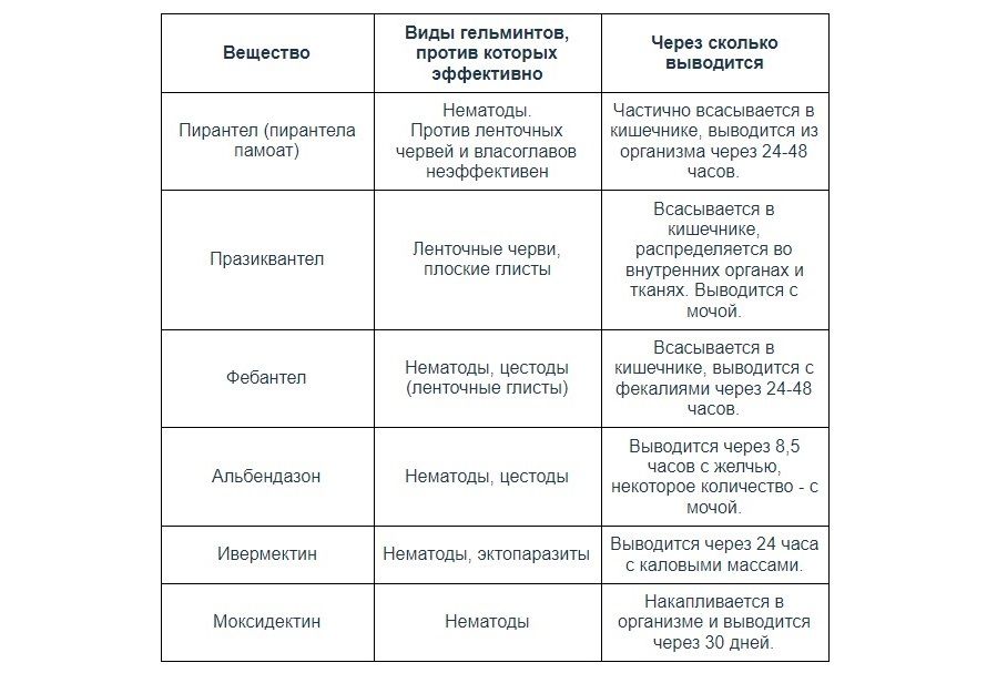 Антигельминтики: выбираем средство защиты от эндопаразитов