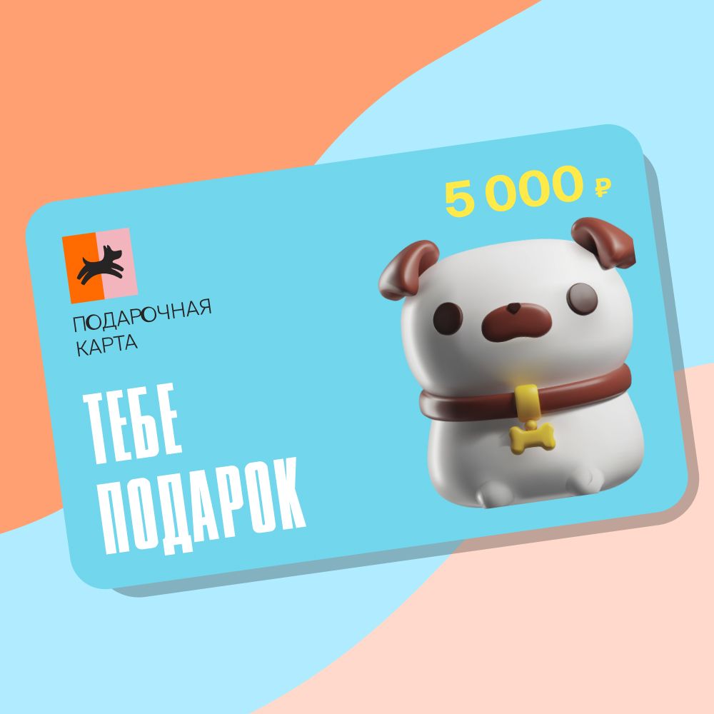 Что подарить питомцу на Новый год