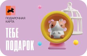 Дизайн виртуальной подарочной карт