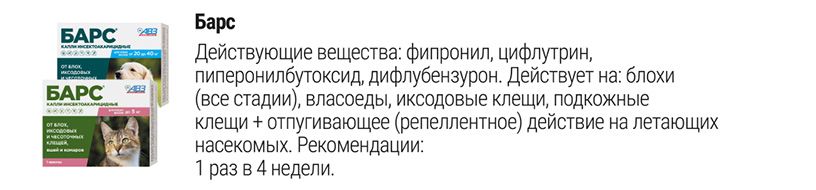 Барс капли на холку