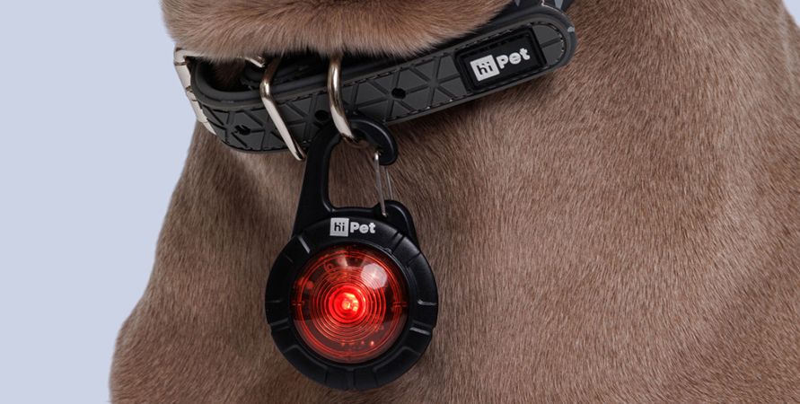 Светящиеся и светоотражающие аксессуары для питомцев