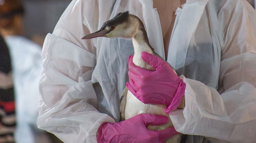 CoZp7MnBphc (1)_891х500.jpg