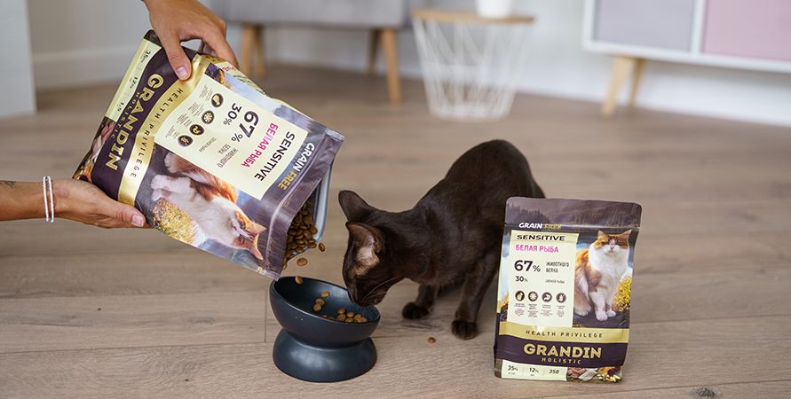 Новая линейка сухих кормов от бренда Grandin
