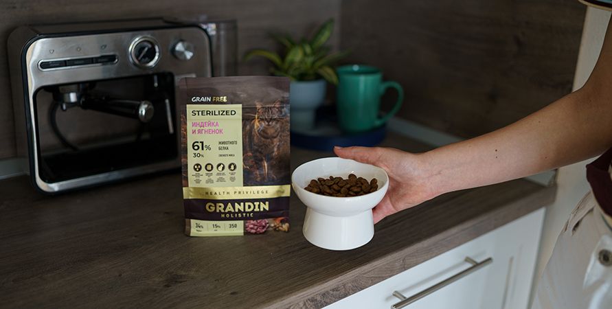 Новая линейка сухих кормов от бренда Grandin
