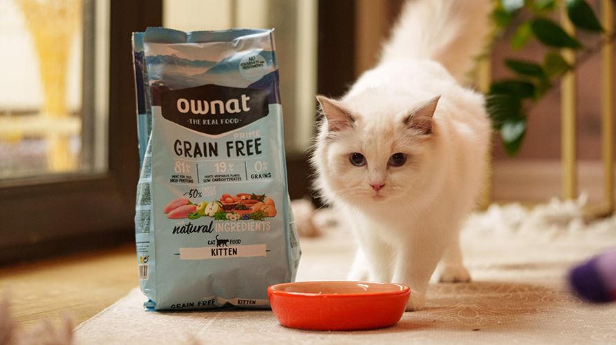 Корм для кошек Ownat