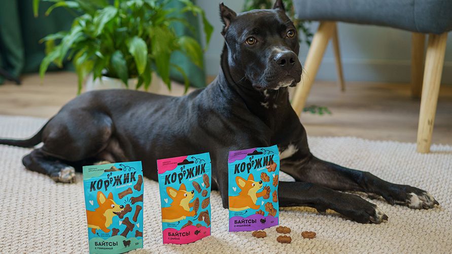 Коржик – аппетитные и полезные лакомства для собак