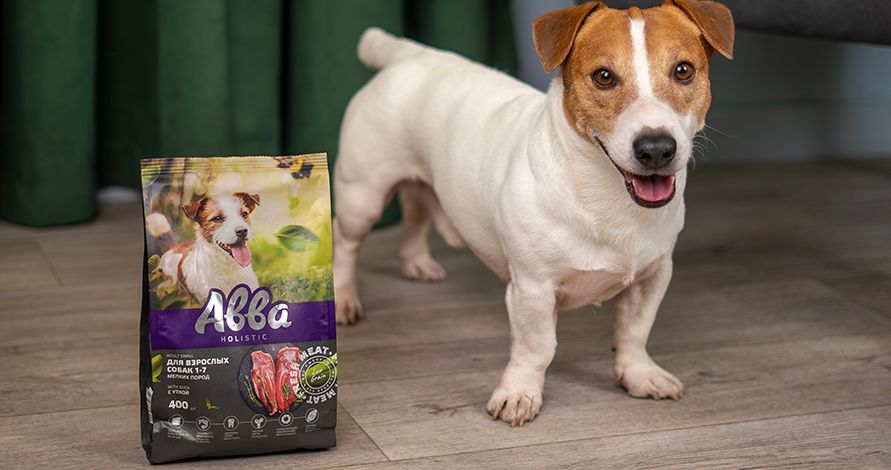 DSC01068-Enhanced-NR copy_891х470.jpg