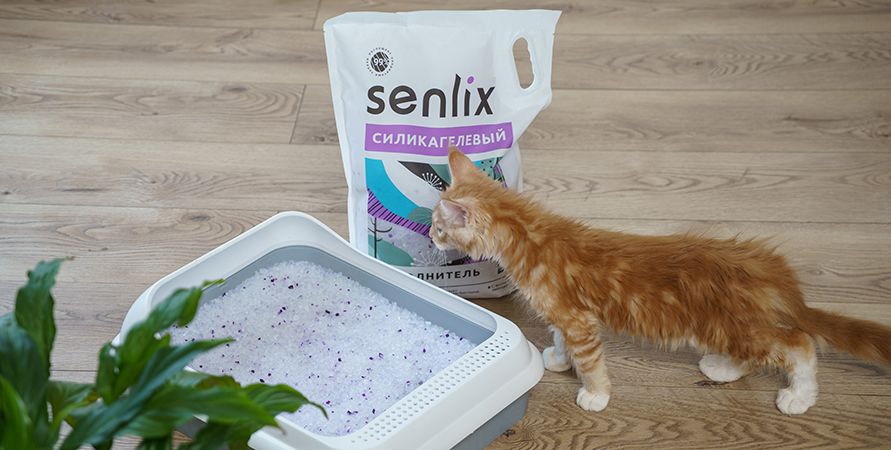 Наполнитель для кошачьего туалета SENLIX