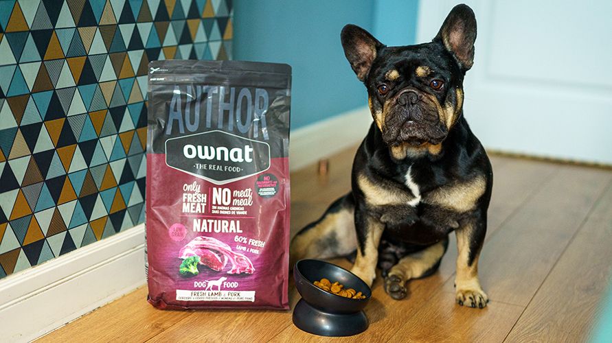 Ownat: корма для кошек и собак из Испании