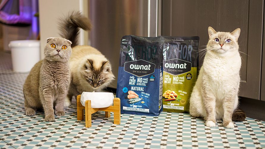 Корм для кошек Ownat