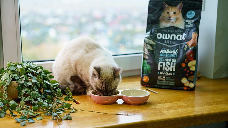 Корм для кошек Ownat
