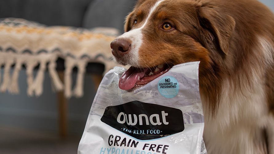 Ownat: корма для кошек и собак из Испании