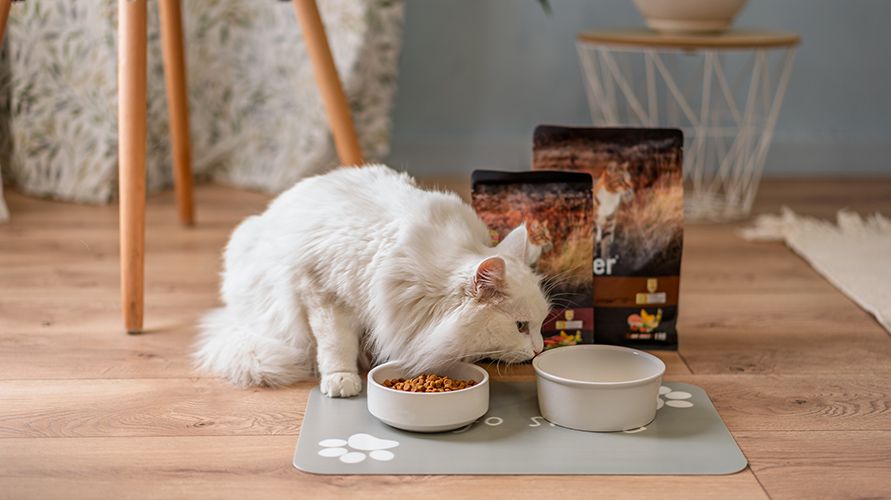 Классификация кормов для кошек
