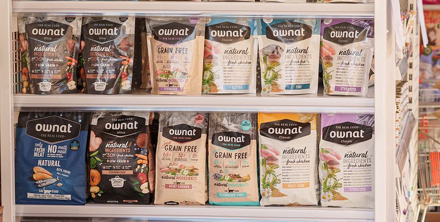 Чем кормить кокер-спаниеля