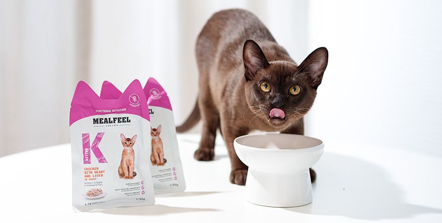 DSC07771_новые паучи_891х450.jpg