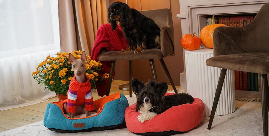 DSC08152 (1)_891х450.jpg