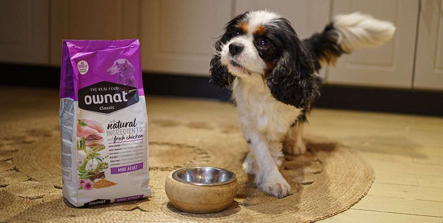 Корм для собак Ownat