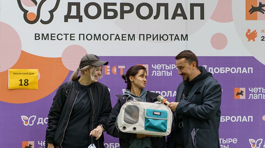 Итоги Четыре Лапы ФЕСТа 2025 