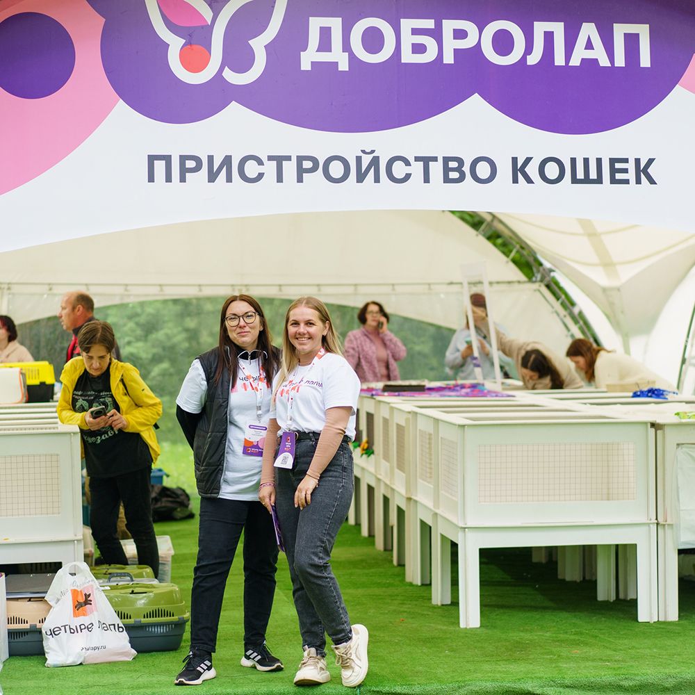 Итоги Четыре Лапы ФЕСТа 2025