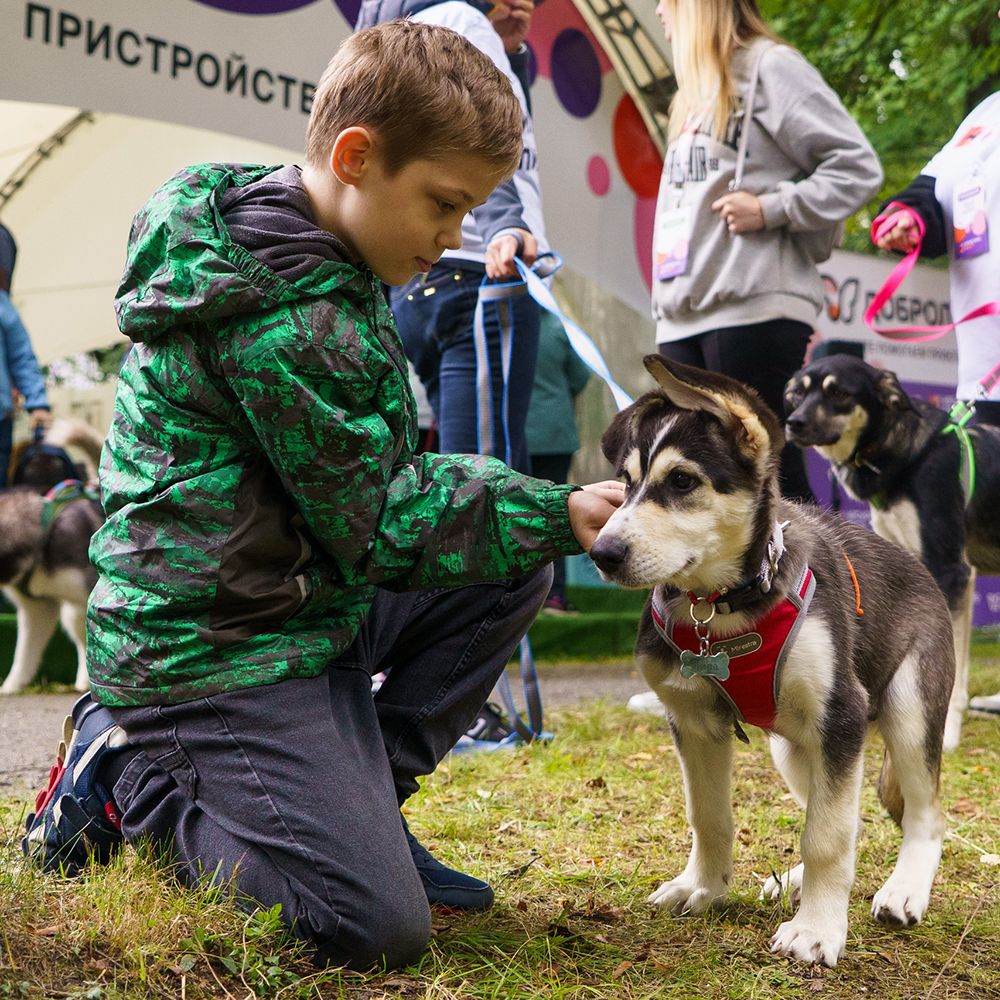 Итоги Четыре Лапы ФЕСТа 2025