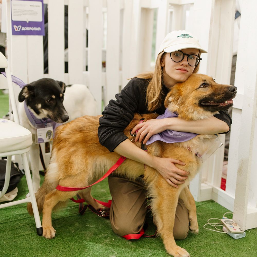 Итоги Четыре Лапы ФЕСТа 2025