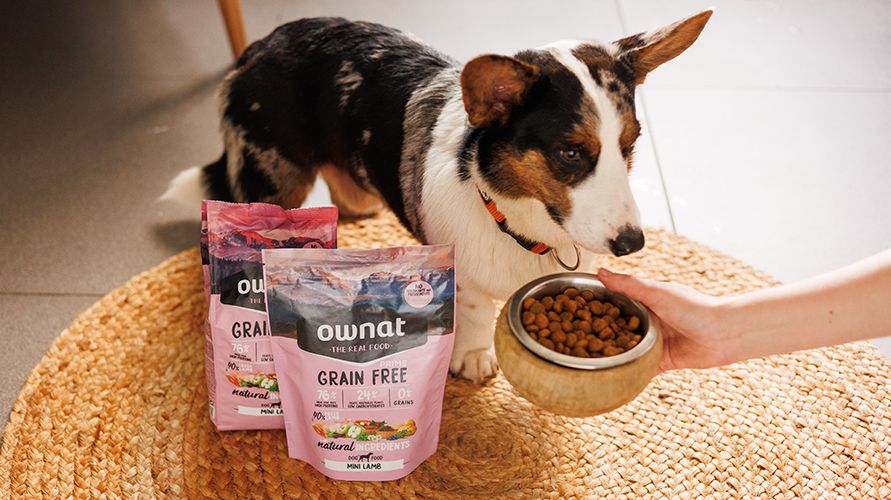 Корм для собак Ownat