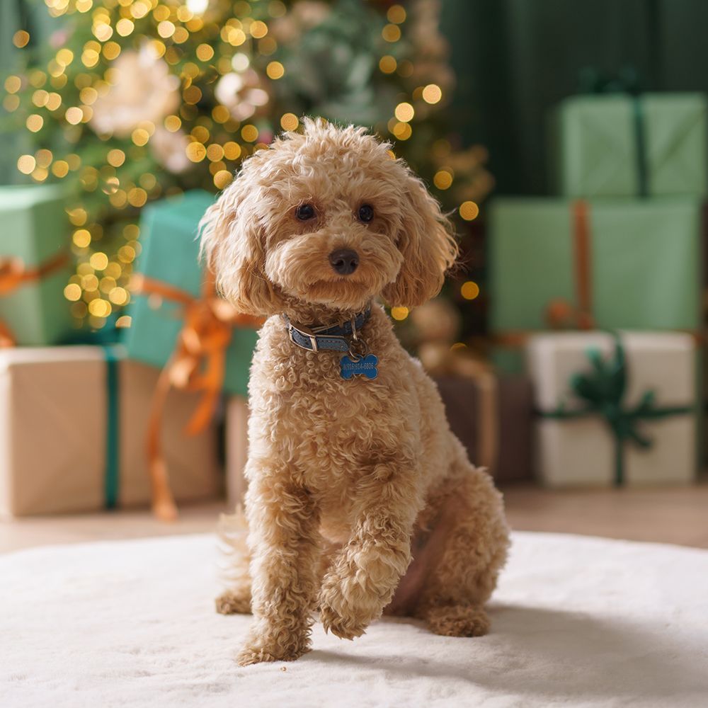 Боковой свет