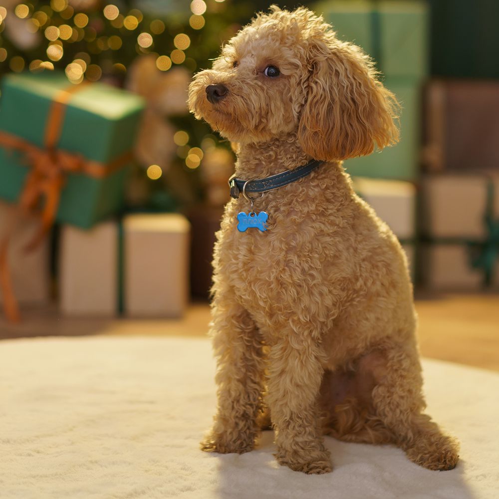 Контровой свет