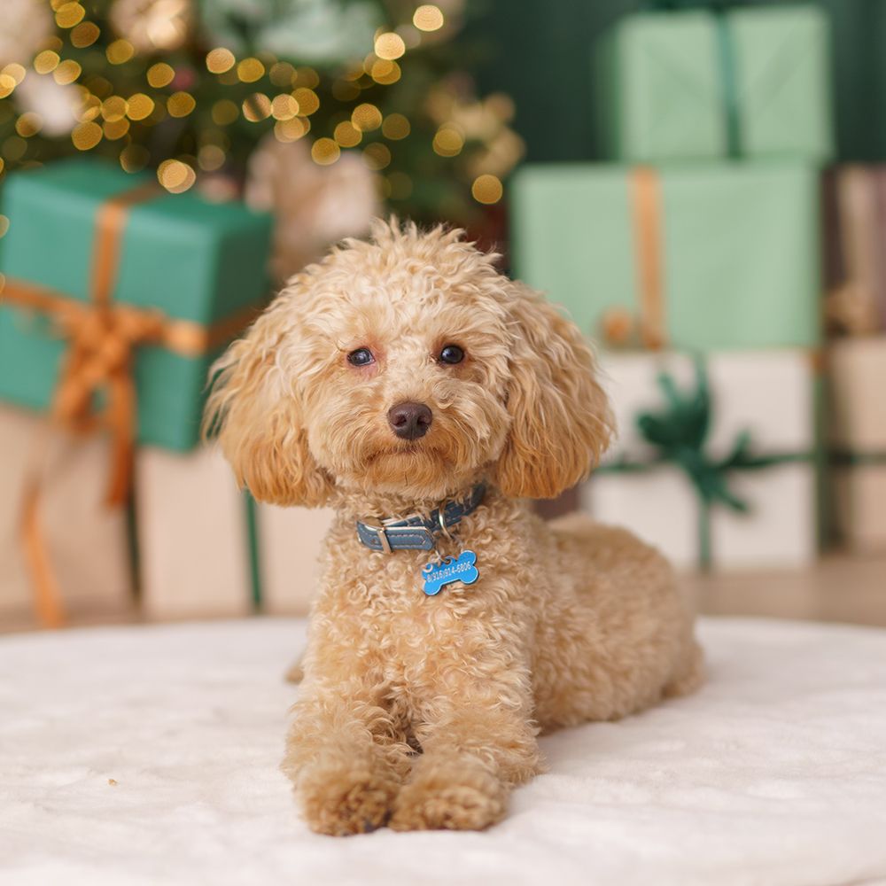 Прямой свет